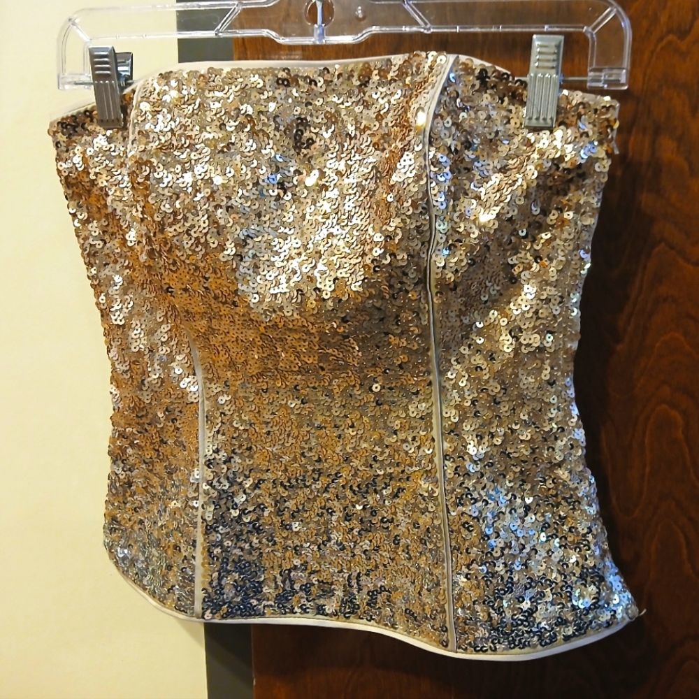 NWT/ WHITE HOUSE BLACK MARKET 'OMBRE SEQUIN BUSTIER'